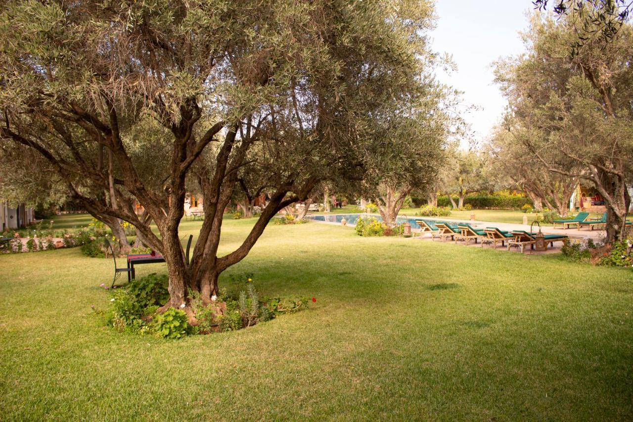 מרקש Greenlife Marrakech מראה חיצוני תמונה